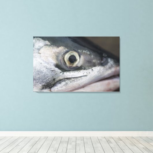 Silberlachsgesicht Leinwanddruck (Insitu (Holzboden))