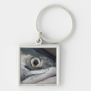 Silberlachsgesicht Schlüsselanhänger