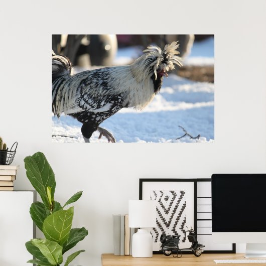 Silberlackiertes Polnisch Crested Poster (Heimbüro)