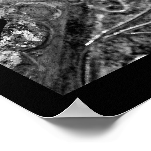 Silberleaf Poster (Ecke)