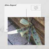 Silberleopard Nr. 1 Postkarte (Vorne/Hinten)