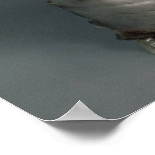 Silbermaske, römisch, 1. poster (Ecke)