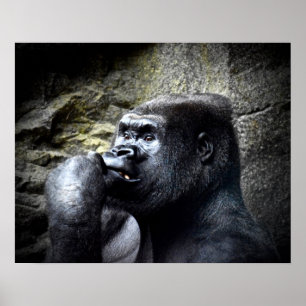 Silbermond Gorilla Denken Poster