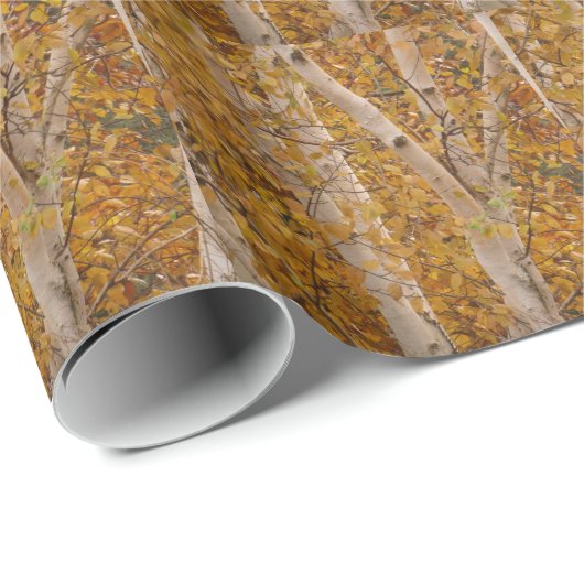 Silberne Birken-Packpapier Geschenkpapier (Rolleneckpunkt)