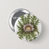 Silberne Distel-Sammlung Button (Vorne & Hinten)