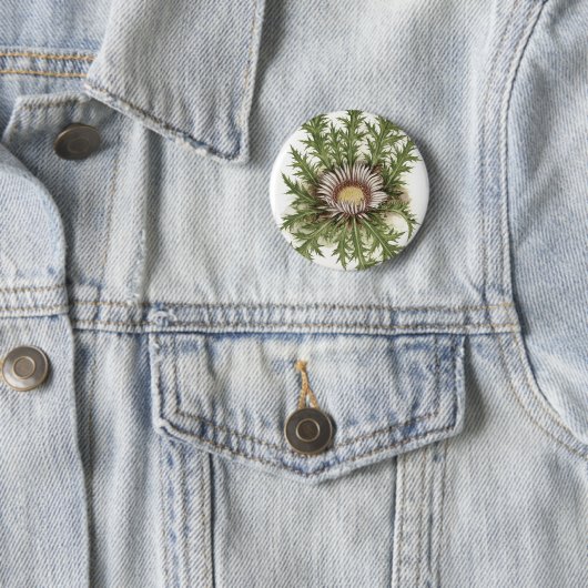Silberne Distel-Sammlung Button (Beispiel)
