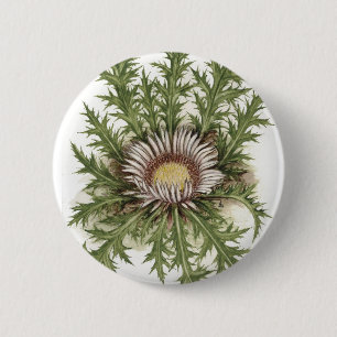 Silberne Distel-Sammlung Button