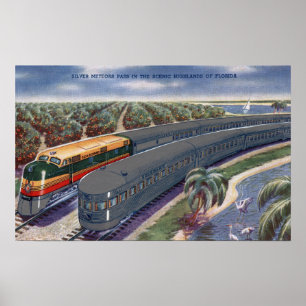 Silberne Meteore "Seaboard" in Florida Highlands Poster