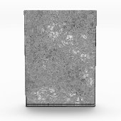 silberne Orchideen-Design, Fotoblock (Vorderseite)