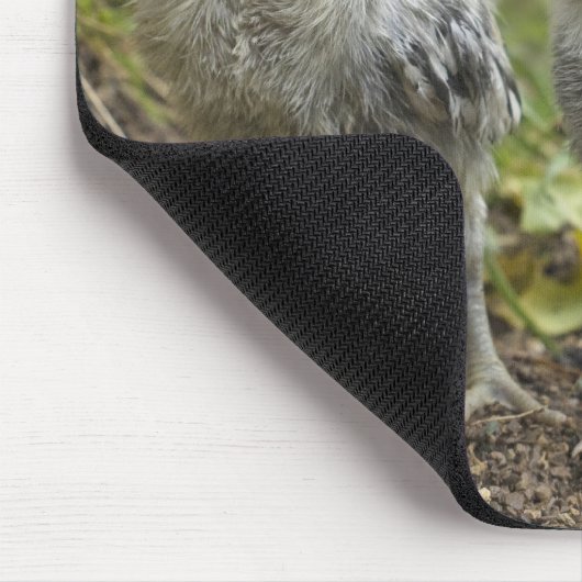 Silberne polnische Küken Mousepad (Ecke)