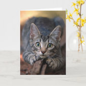 Silberne Tabby-Kätzchen-Karte Karte (Gelbe Blume)