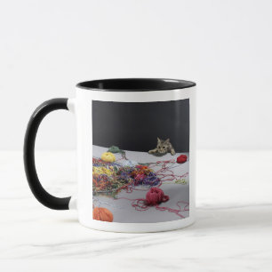 Silberne Tabbykatze, die über Rand der Tabelle Tasse