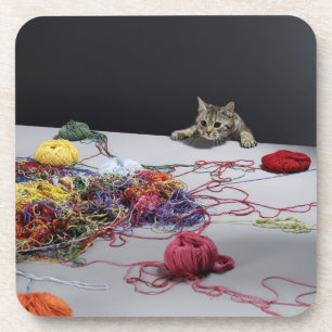 Silberne Tabbykatze, die über Rand der Tabelle Untersetzer
