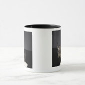 Silberne trinkende Creme der Tabbykatze vom Boden Tasse (Zentrum)