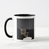 Silberne trinkende Creme der Tabbykatze vom Boden Tasse (Links)
