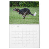 Silberne Windhunde 2021 in Aktion Kalender (Jan 2026)