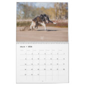 Silberne Windhunde 2021 in Aktion Kalender (Mär 2026)
