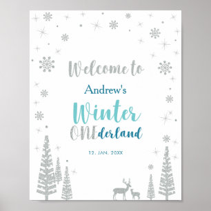 Silberne Winter-Jungen-Geburtstags-Party-Willkomme Poster