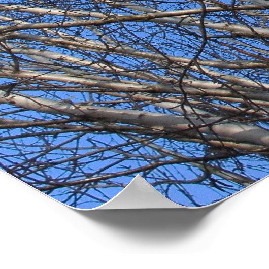 Silberne Zweige 02 Poster (Ecke)