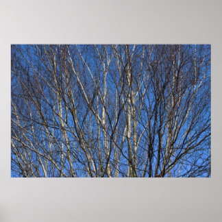 Silberne Zweige 02 Poster