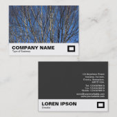 Silberne Zweige 02 Visitenkarte (Vorne/Hinten)