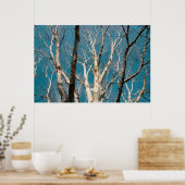 Silberne Zweige in der Sonne Poster (Küche)