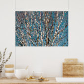 Silberne Zweige in der Sonne Poster (Küche)