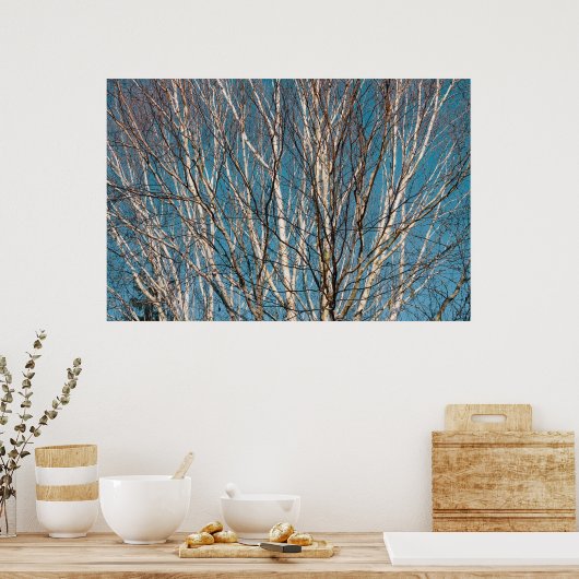 Silberne Zweige in der Sonne Poster (Küche)