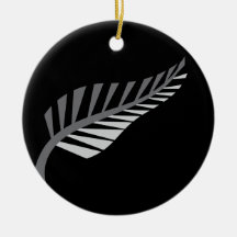 Silberner Farn-fantastisches Neuseeland-Bild