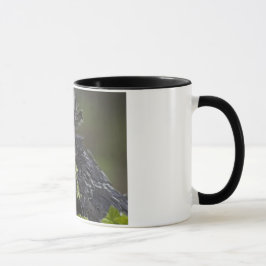 Silberner polnischer Hahn Tasse