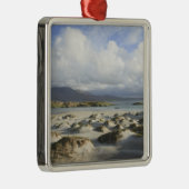 Silberner Strang-Strand Ornament Aus Metall (Rechts)