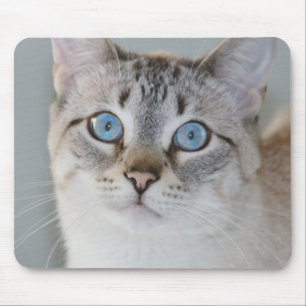 Silberner Tabby-siamesische Mausunterlage Mousepad