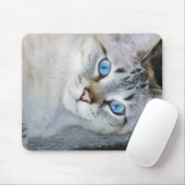 Silberner Tabby-siamesische Mausunterlage Mousepad (Mit Mouse)