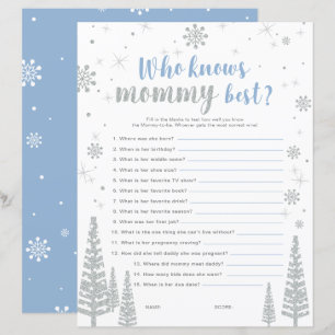 Silbernes & Blaues Winter-Wunderland-Baby-Shower-S