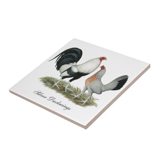Silbernes Duckwing Gamefowl Fliese (Seite)