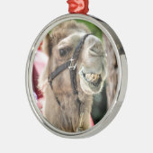 SILBERNES ORNAMENT (Links)