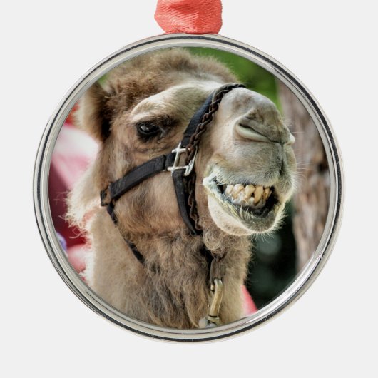 SILBERNES ORNAMENT (Vorne)