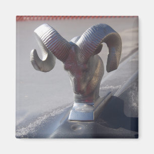 Silbernes RAM Magnet