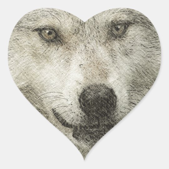 Silbernes Wolf Bleistift Illustrations Zeichnen Herz Aufkleber Zazzle De