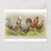 Silberpolnisch Postkarte (Vorderseite)