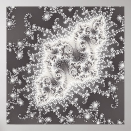 Silberqualle Poster (Vorne)
