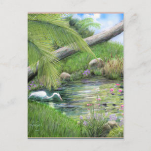 Silberreiher am Teich Postkarte