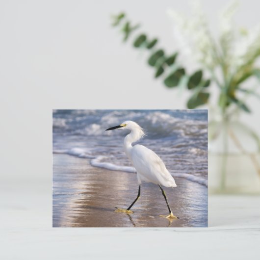 Silberreiher am Ufer Fotoabzug Postkarte (Stehend Vorderseite)