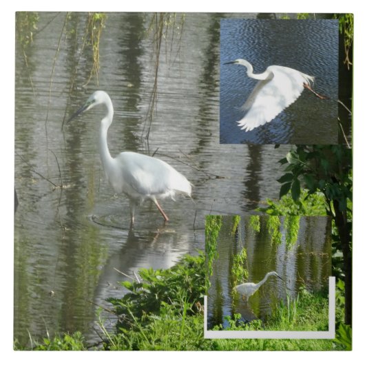 Silberreiher Collage Keramikfliese (Vorderseite)