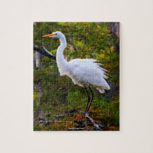 Silberreiher Florida Puzzle