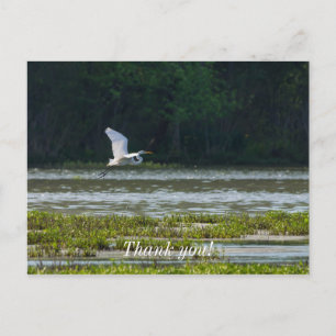 Silberreiher Flug Dankeschön-Postkarte Postkarte
