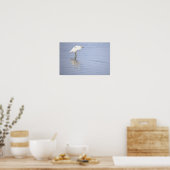 Silberreiher Foto Poster  (Küche)