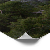 Silberreiher Foto Poster (Ecke)