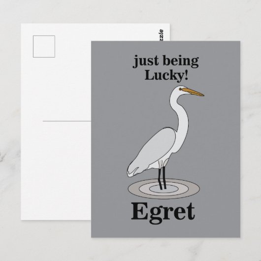 Silberreiher Glücksvogel Postkarte (Vorne/Hinten)