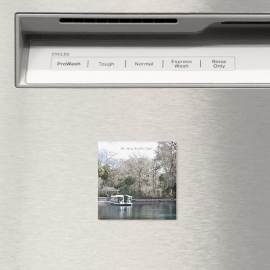 Silberring, Florida, Glasbodenboot Magnet (In Situ (Geschirrspüler))